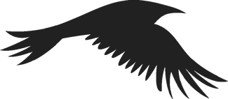 Crow Bird Image