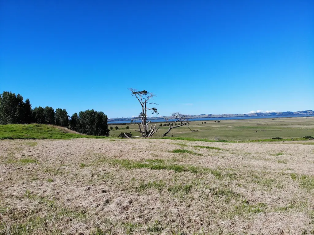 127 Ngapuke Road Kaukapakapa